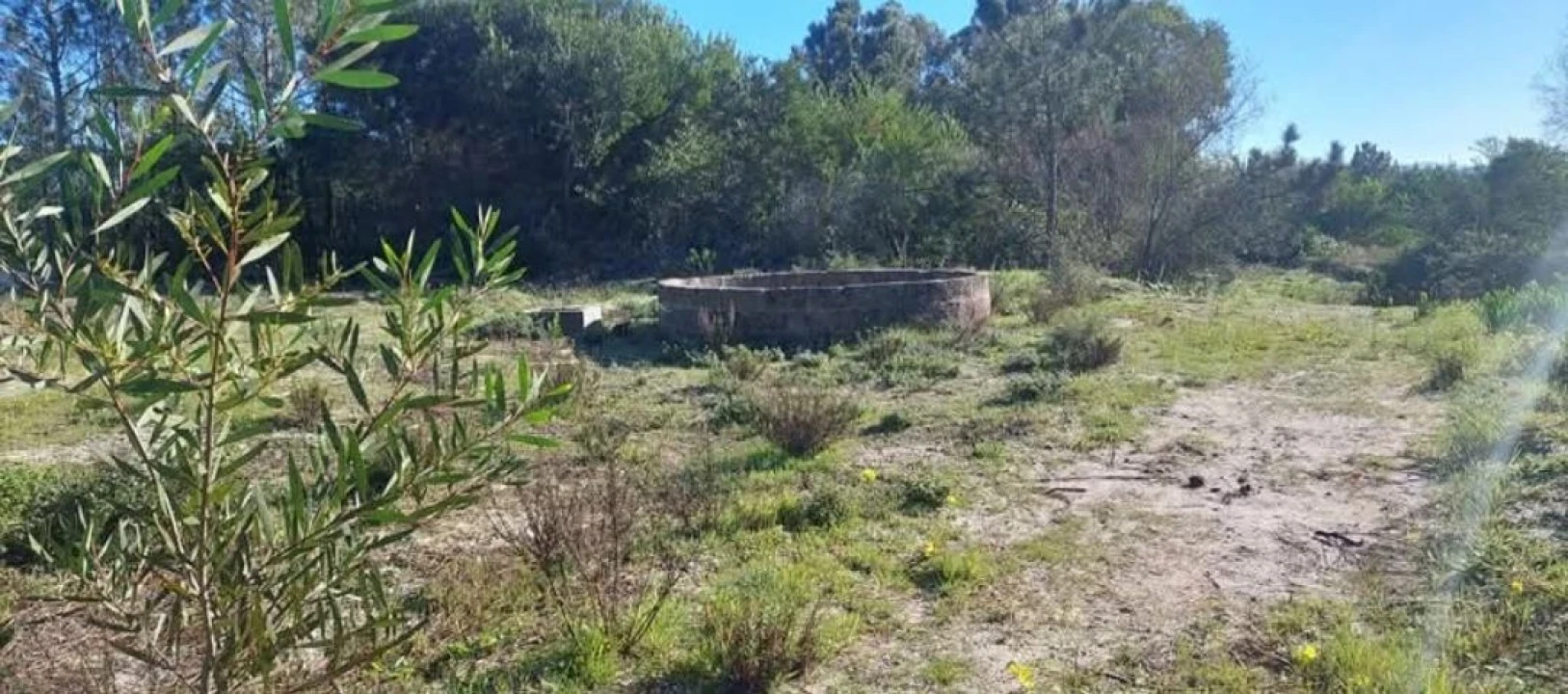 Terreno para Venda em Aljezur Foto 47