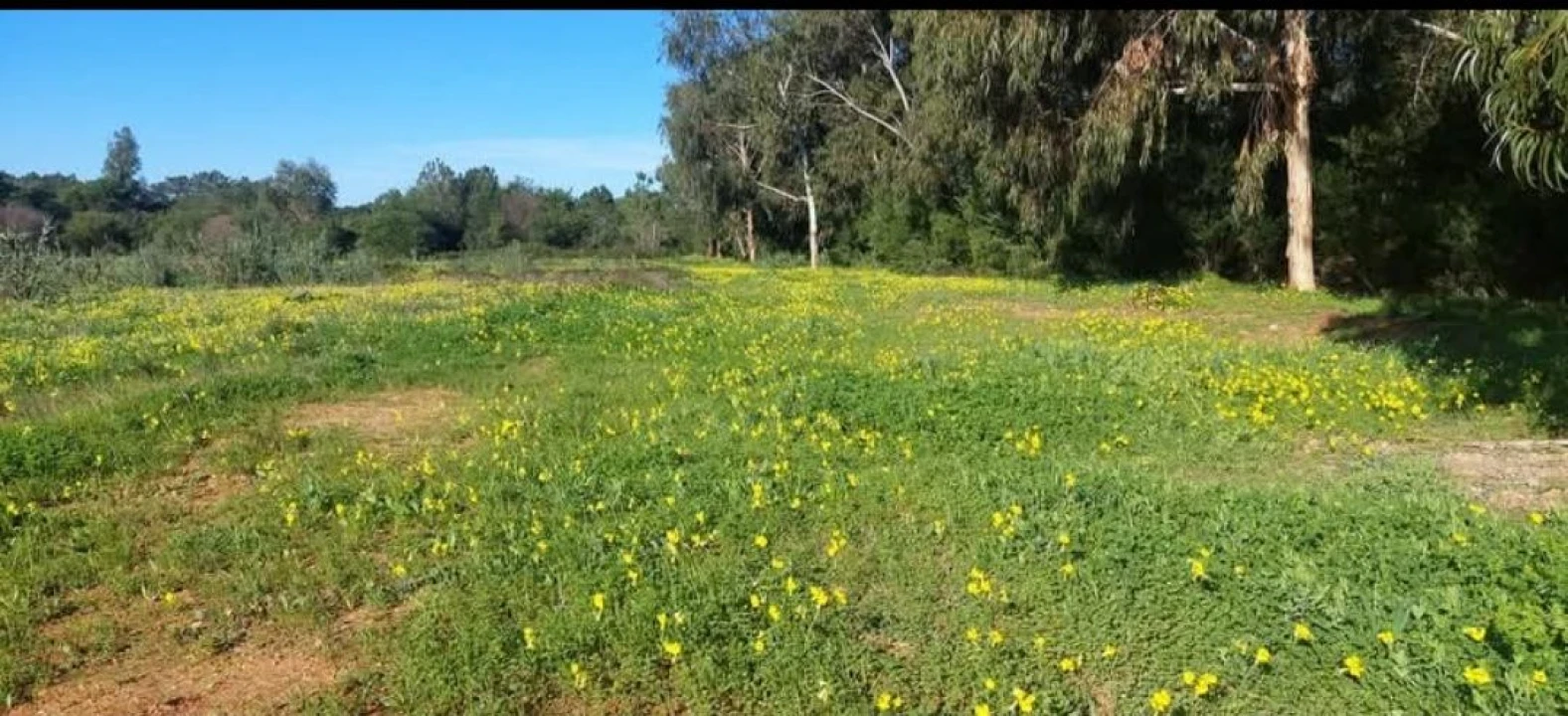 Terreno para Venda em Aljezur Foto 46