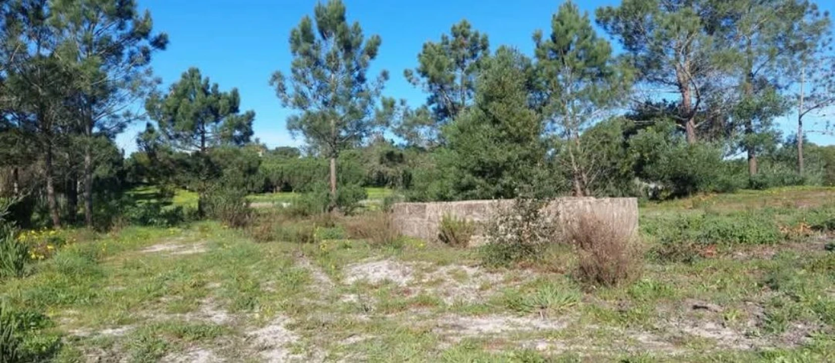 Terreno para Venda em Aljezur Foto 50