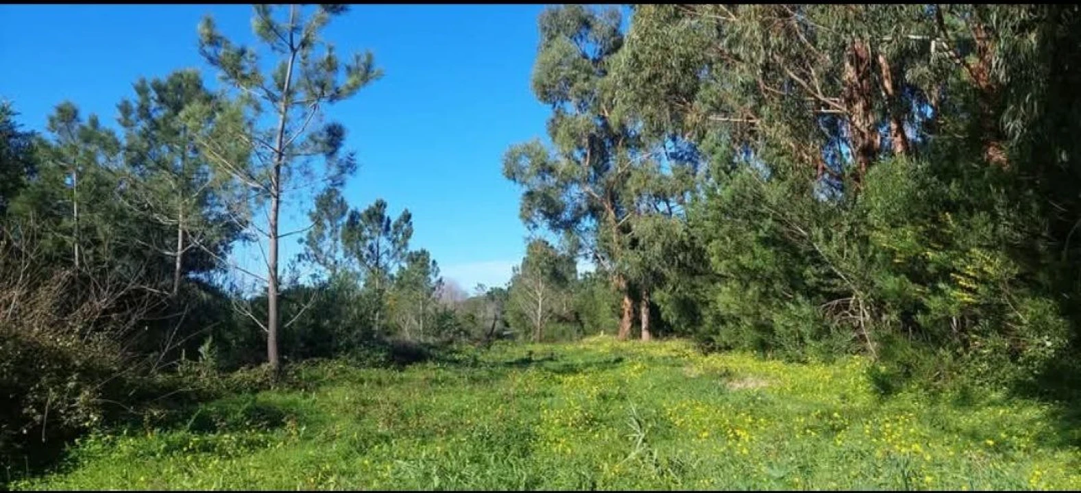 Terreno para Venda em Aljezur Foto 49