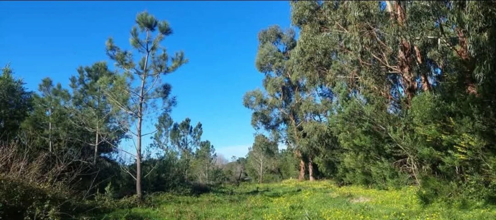 Terreno para Venda em Aljezur Foto 48