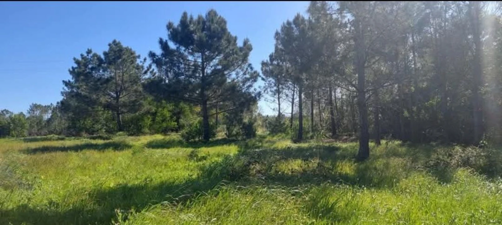 Terreno para Venda em Aljezur Foto 51