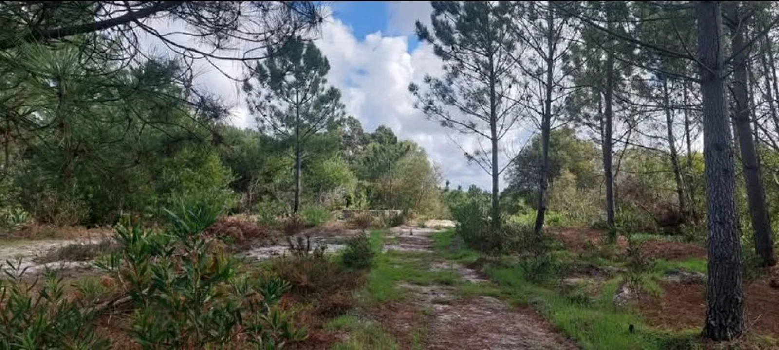 Terreno para Venda em Aljezur Foto 53