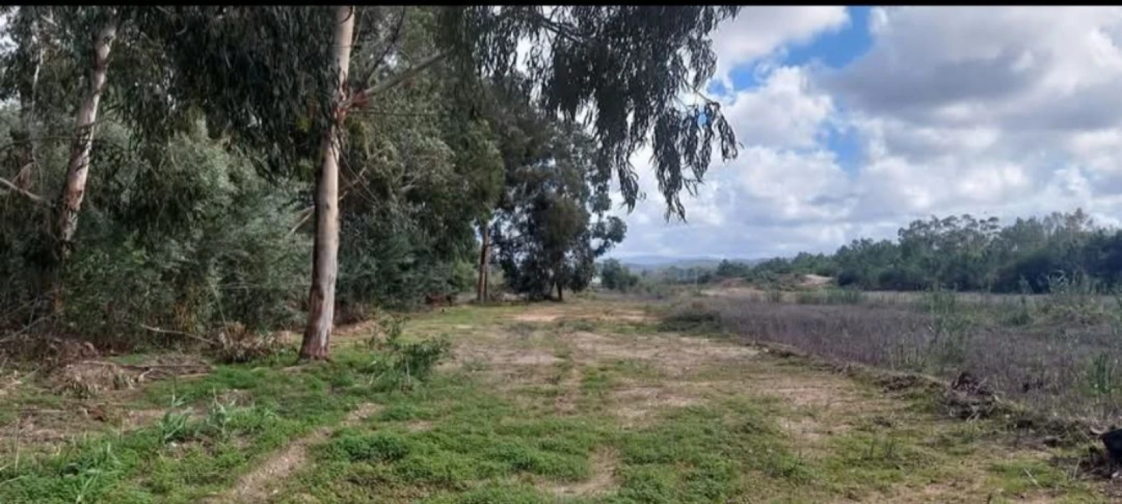 Terreno para Venda em Aljezur Foto 55