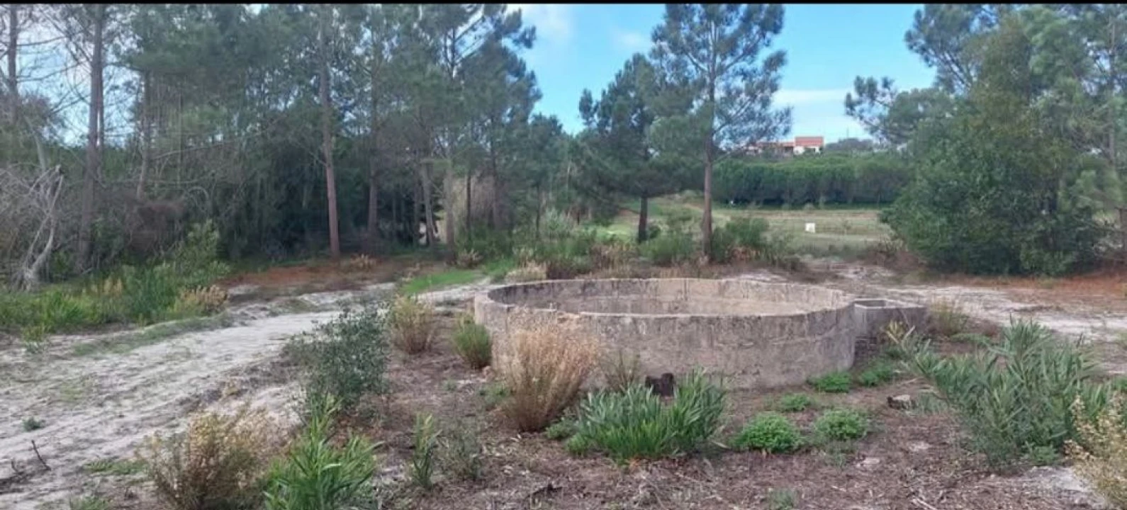 Terreno para Venda em Aljezur Foto 56