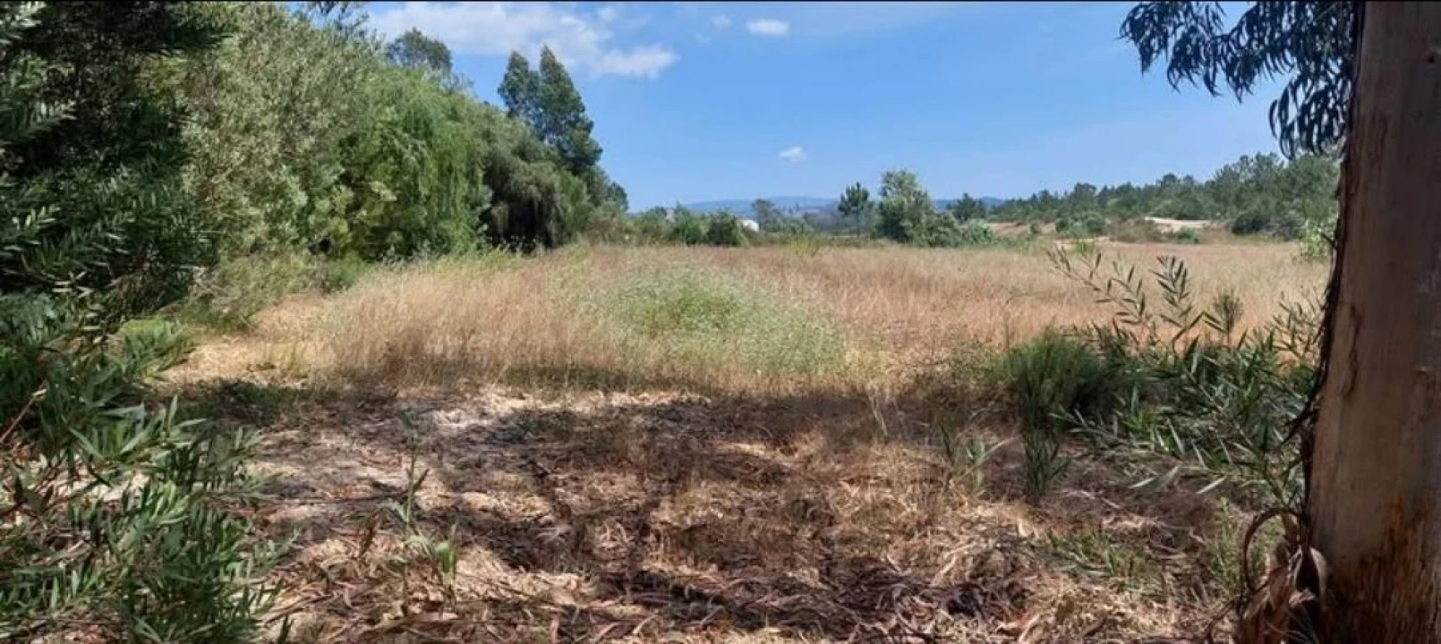 Terreno para Venda em Aljezur Foto 63