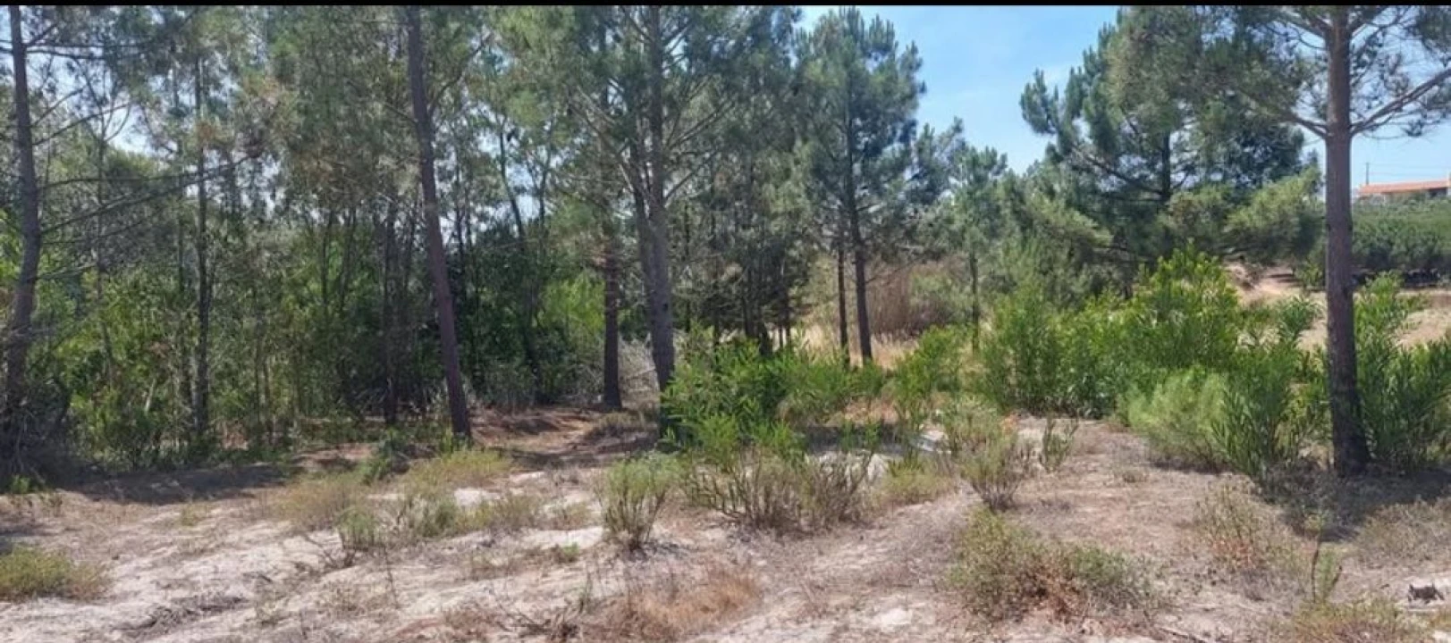 Terreno para Venda em Aljezur Foto 64