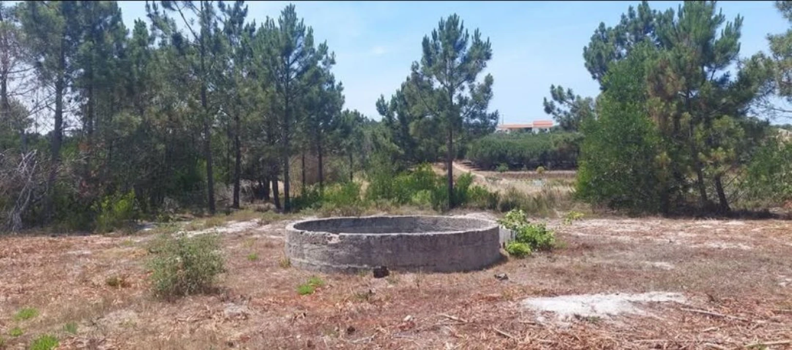 Terreno para Venda em Aljezur Foto 65