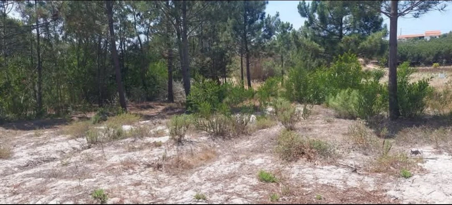 Terreno para Venda em Aljezur Foto 75