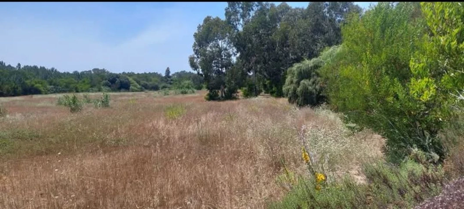 Terreno para Venda em Aljezur Foto 76