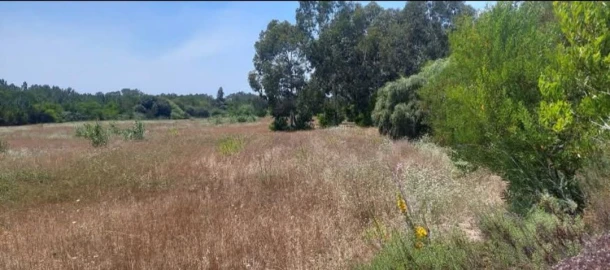 Terreno para Venda em Aljezur