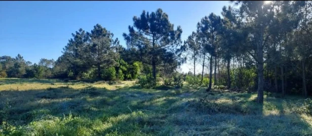 Terreno para Venda em Aljezur