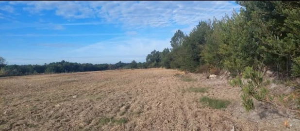 Terreno para Venda em Aljezur