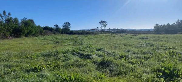 Terreno para Venda em Aljezur