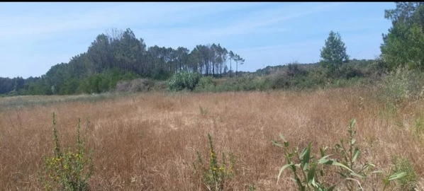 Terreno para Venda em Aljezur