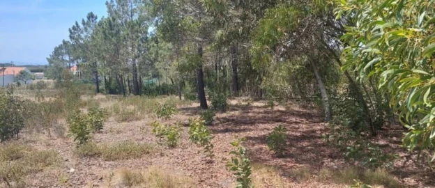 Terreno para Venda em Aljezur