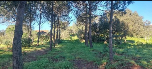 Terreno para Venda em Aljezur