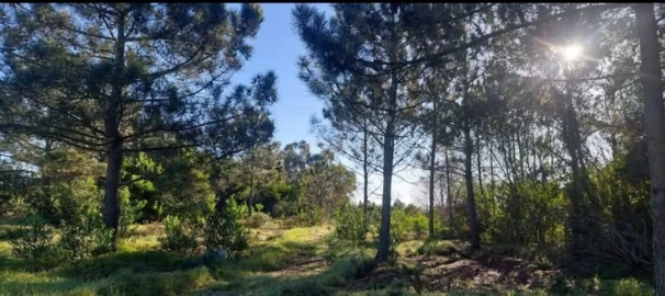 Terreno para Venda em Aljezur