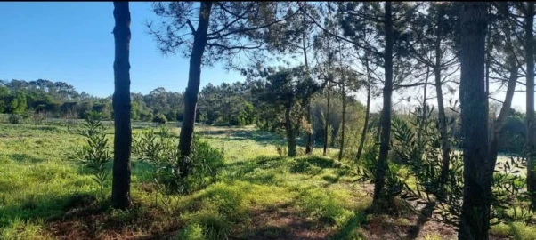 Terreno para Venda em Aljezur