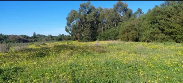 Terreno para Venda em Aljezur