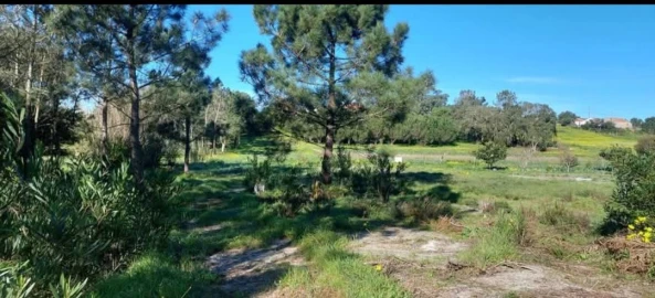 Terreno para Venda em Aljezur