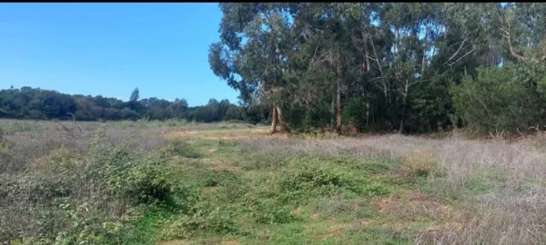Terreno para Venda em Aljezur