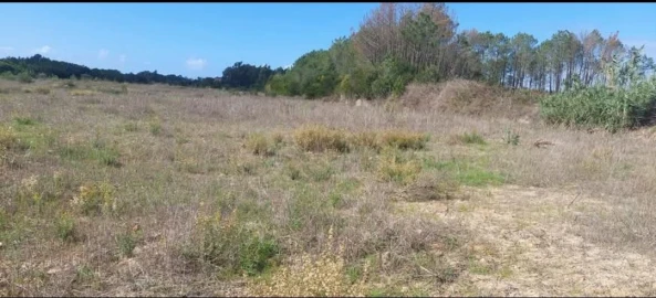 Terreno para Venda em Aljezur