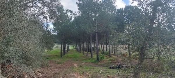 Terreno para Venda em Aljezur