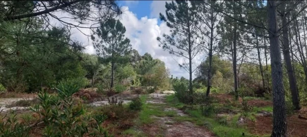 Terreno para Venda em Aljezur