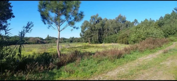 Terreno para Venda em Aljezur