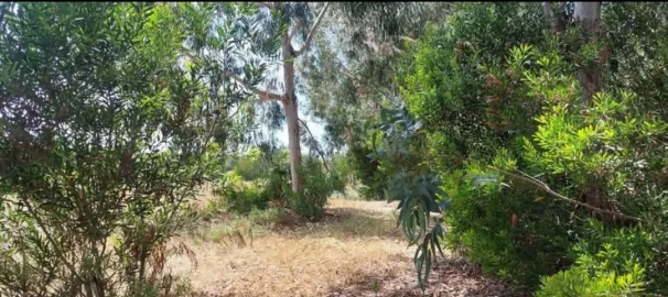Terreno para Venda em Aljezur