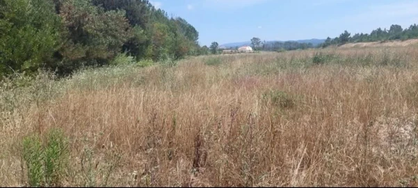 Terreno para Venda em Aljezur