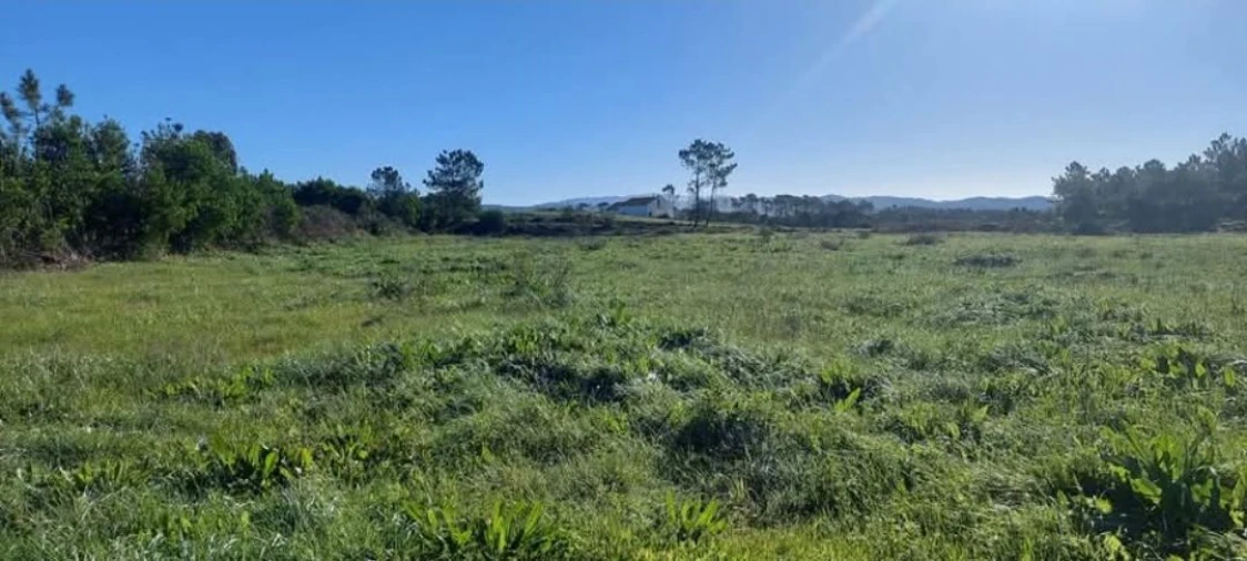 Terreno para Venda em Aljezur Foto 15