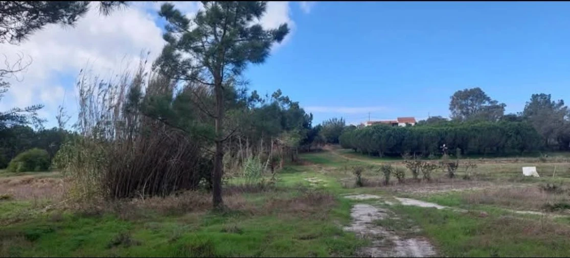Terreno para Venda em Aljezur Foto 18