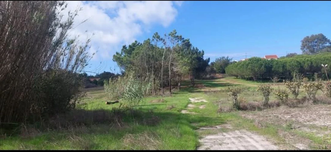 Terreno para Venda em Aljezur Foto 19