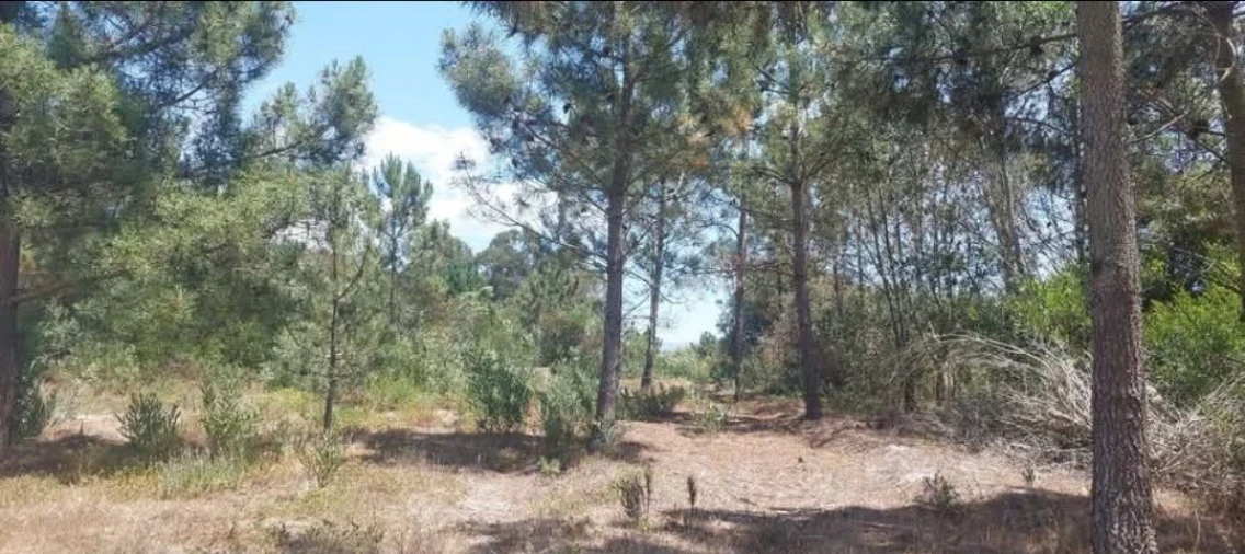 Terreno para Venda em Aljezur Foto 28