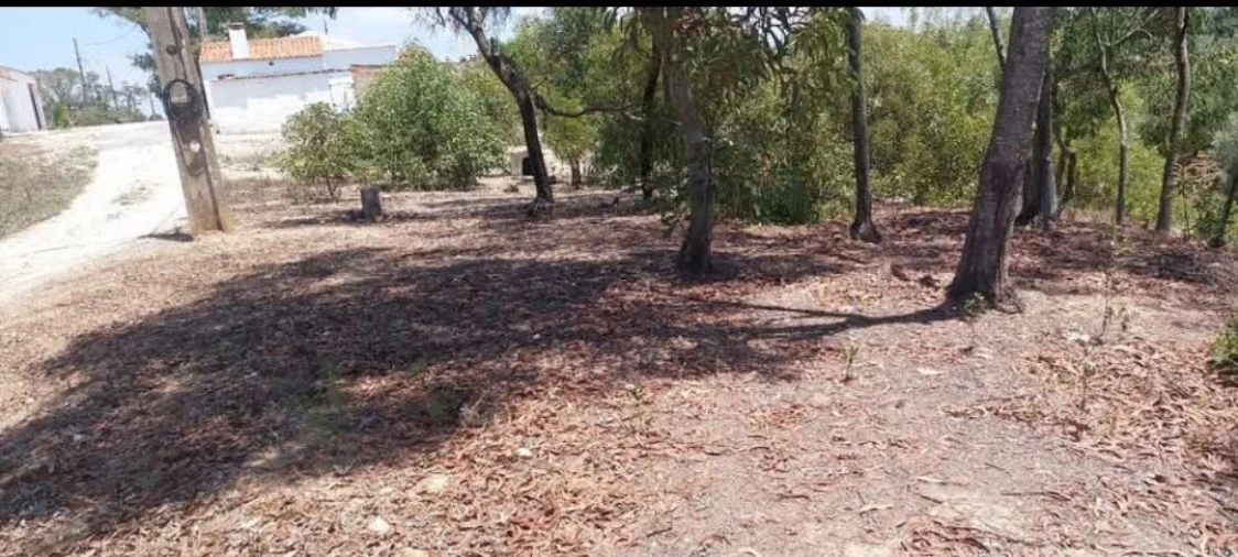 Terreno para Venda em Aljezur Foto 33