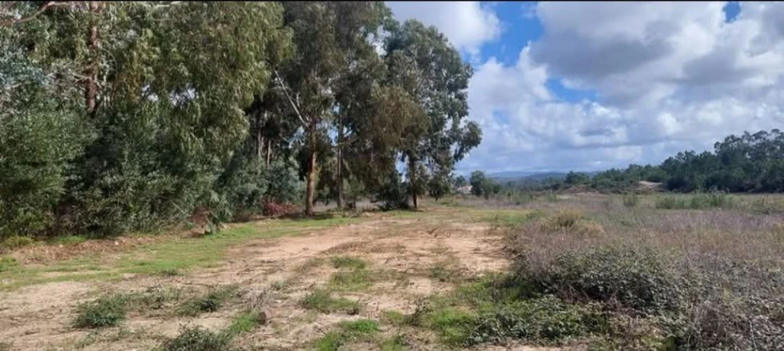 Terreno para Venda em Aljezur Foto 62