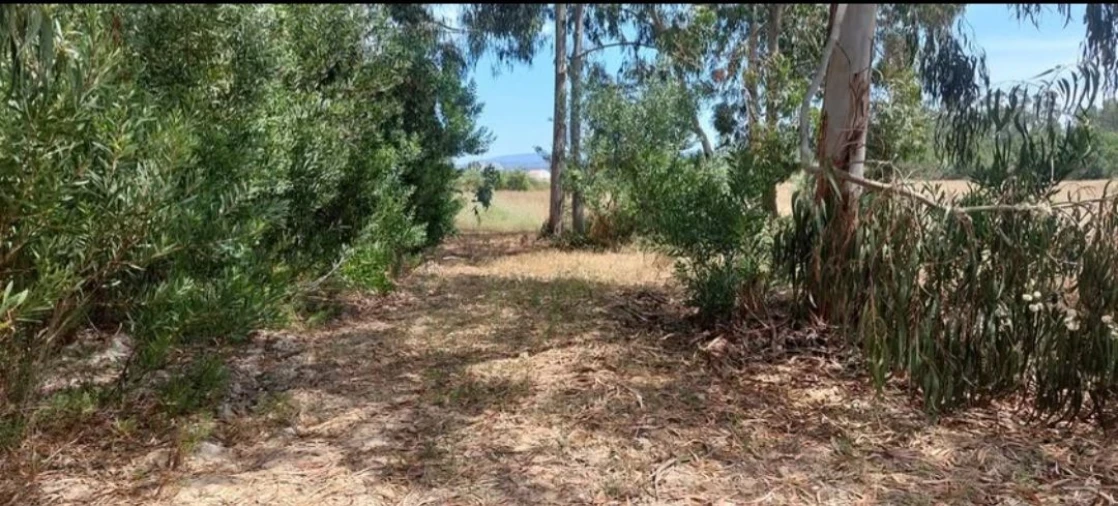 Terreno para Venda em Aljezur Foto 73