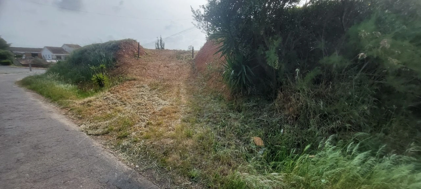 Quinta T0 para Venda em Ourique Foto 1