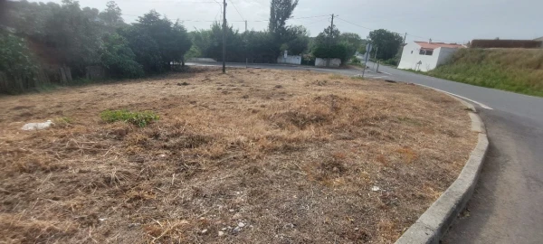 Quinta T0 para Venda em Ourique