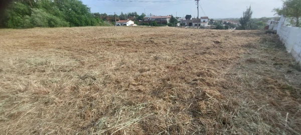 Quinta T0 para Venda em Ourique