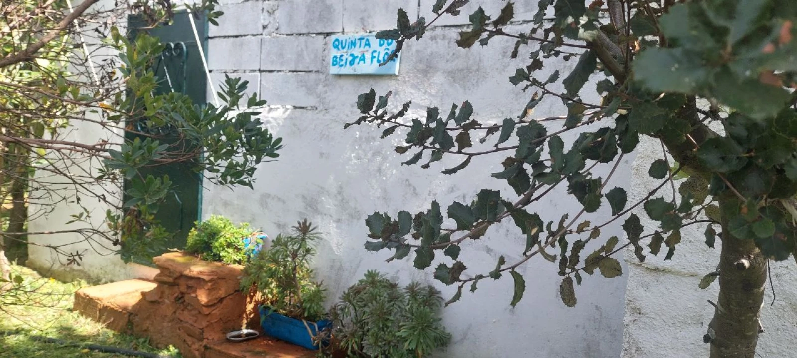 Terreno para Venda em Castro Verde Foto 4