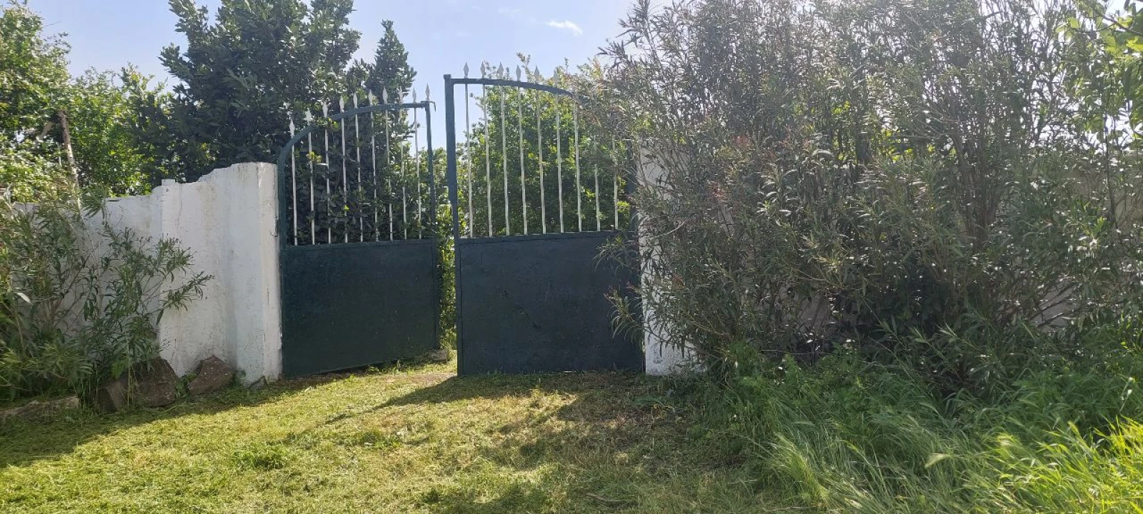 Terreno para Venda em Castro Verde Foto 16