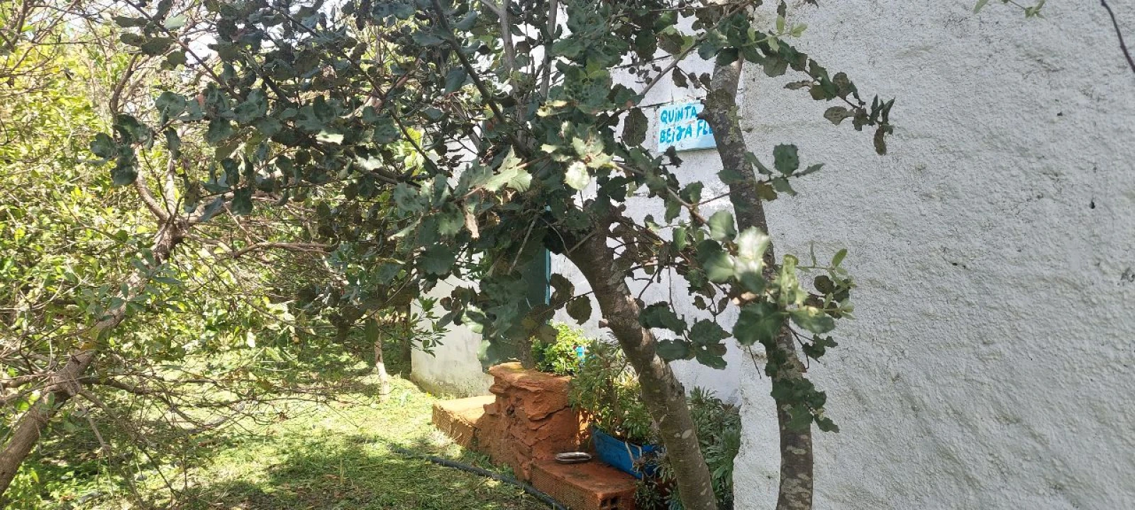 Terreno para Venda em Castro Verde Foto 17