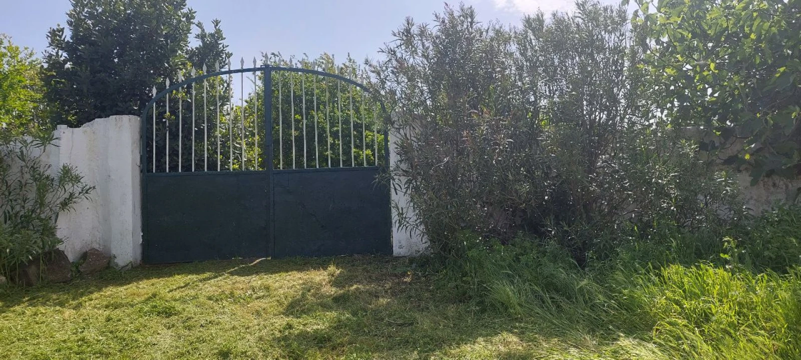 Terreno para Venda em Castro Verde Foto 23