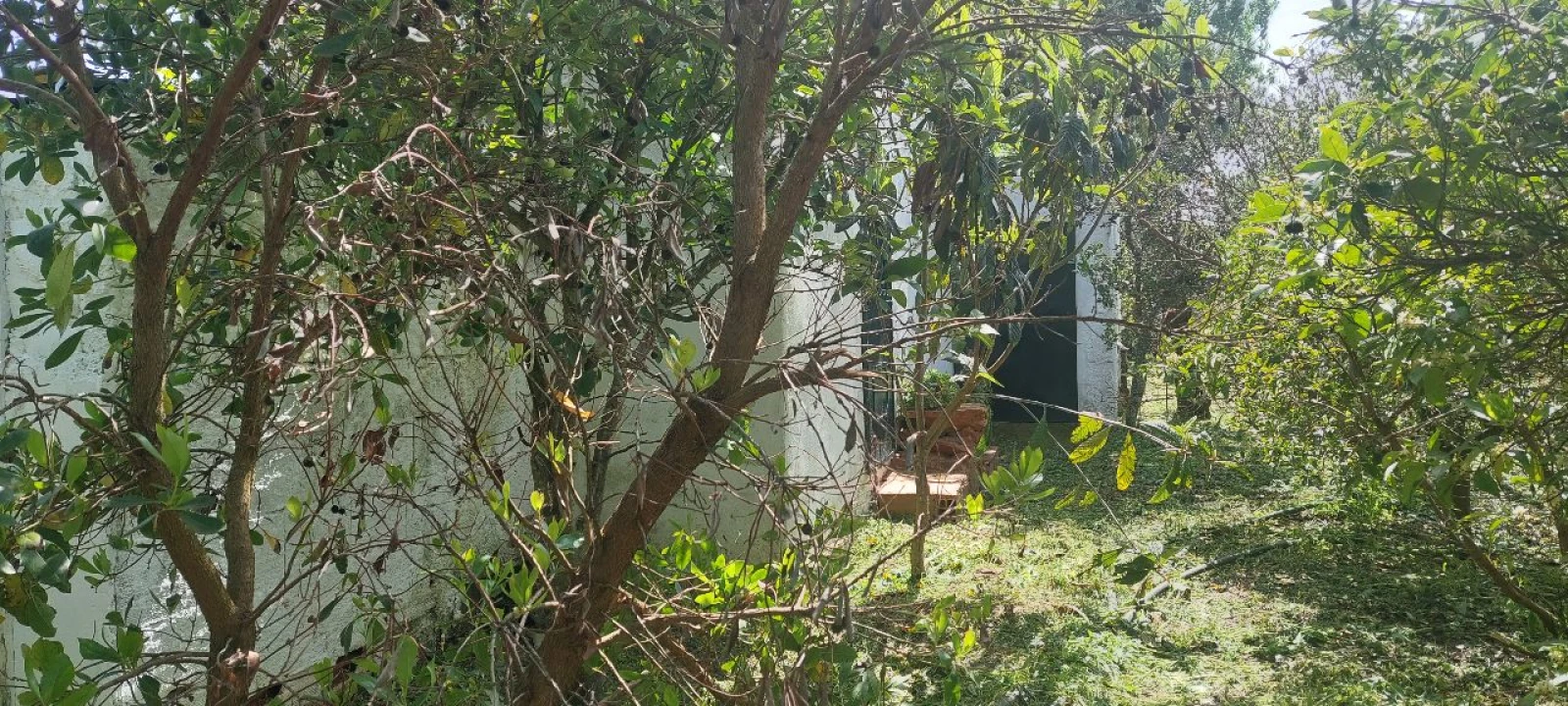 Terreno para Venda em Castro Verde Foto 27