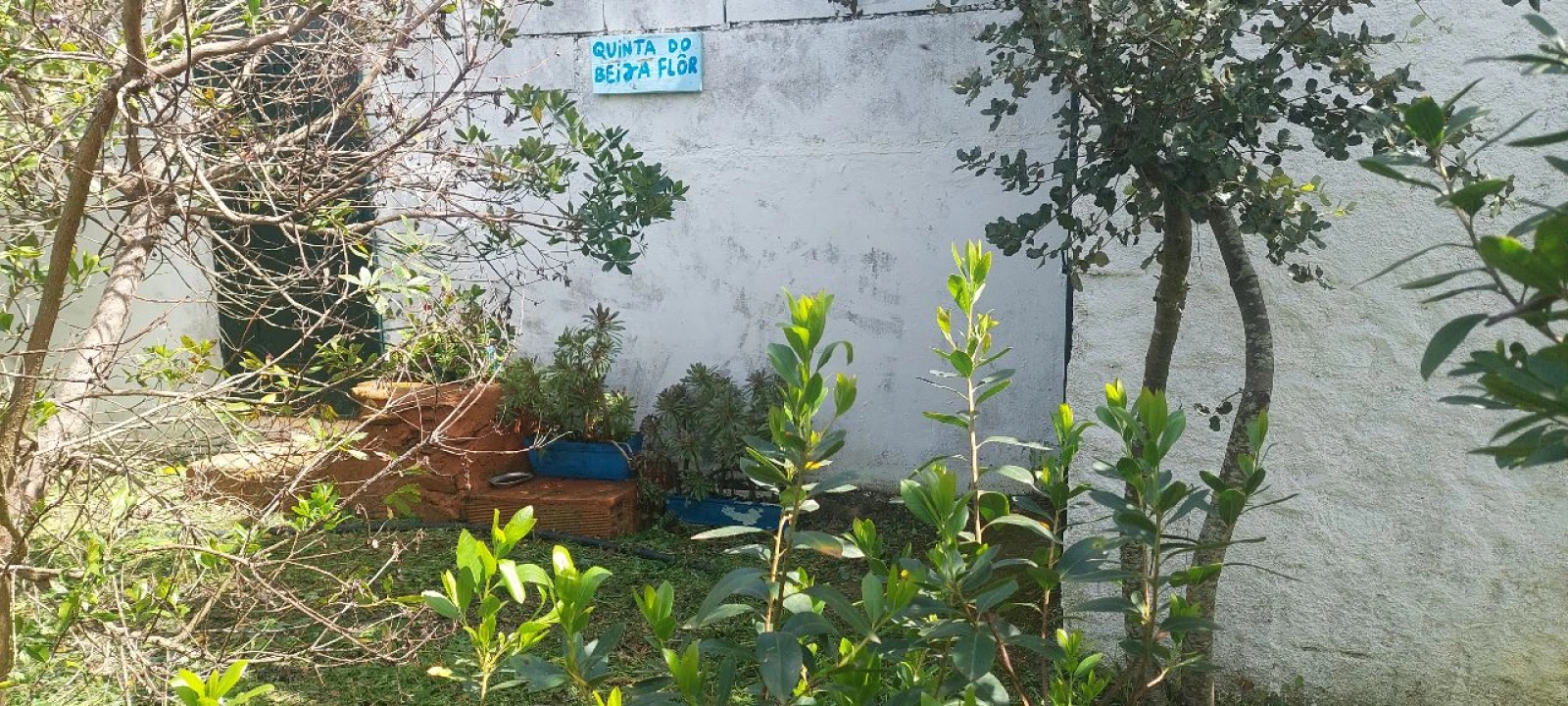 Terreno para Venda em Castro Verde Foto 36