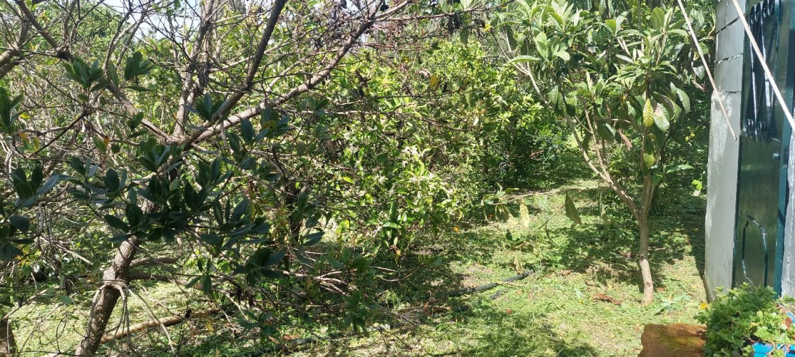 Terreno para Venda em Castro Verde Foto 40