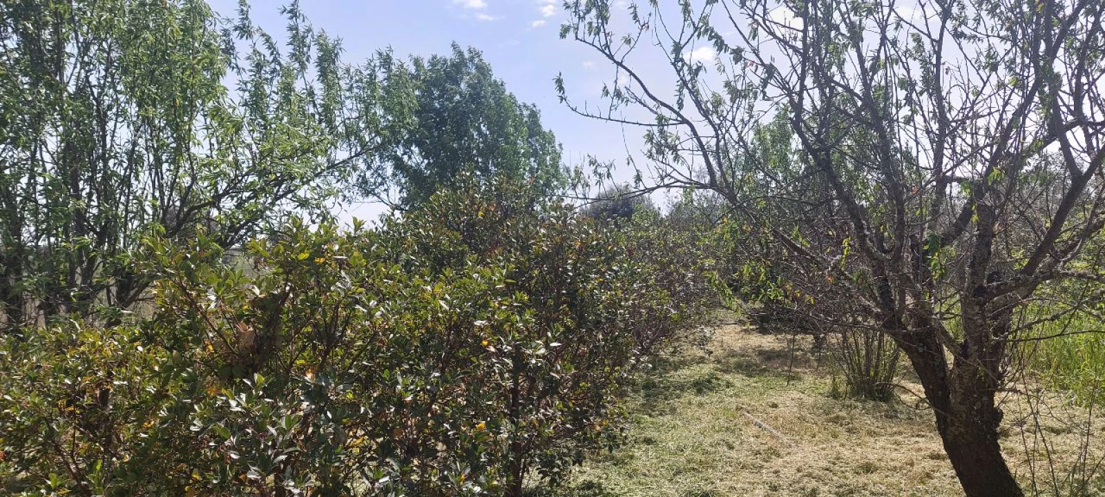 Terreno para Venda em Castro Verde Foto 41